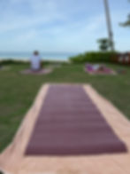 People on yoga mats relaxing on grassy area by the sea; one sitting, another lying down. Calm seaside with palm trees and blue sky.