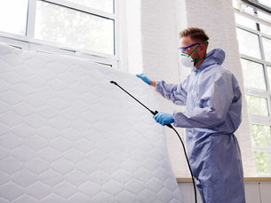 Bed Bug Exterminator