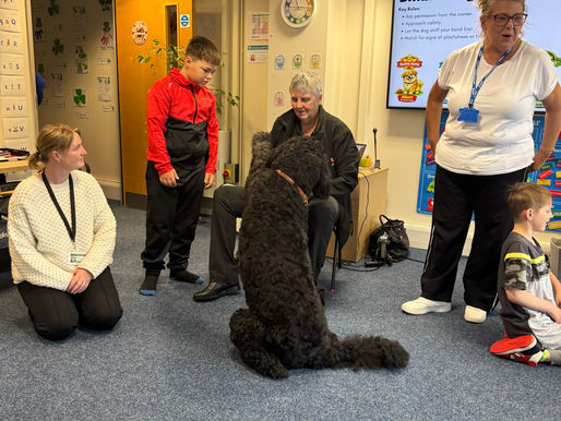 child learning dog safety UK Bark Smart programme
