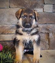 Finley-M.jpg