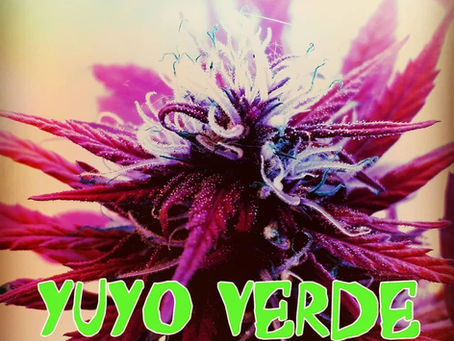 New Single. OSKART – YUYO VERDE ( ORIHGINAL RECORDS 2021 )