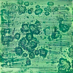 Wall Flowers