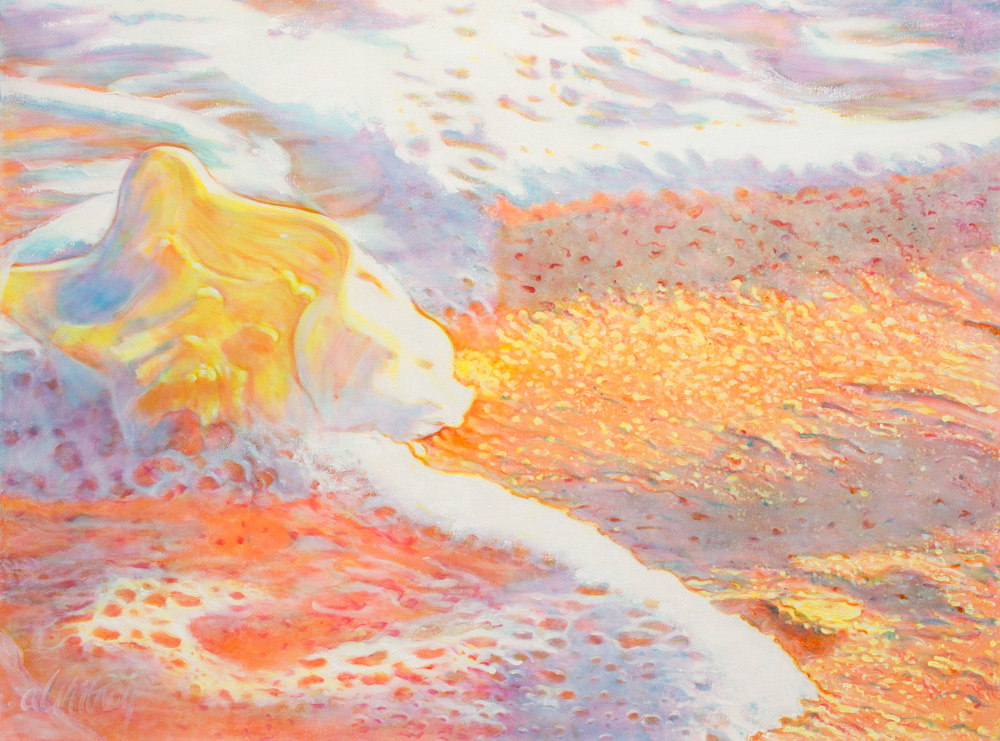 Yellow Conch