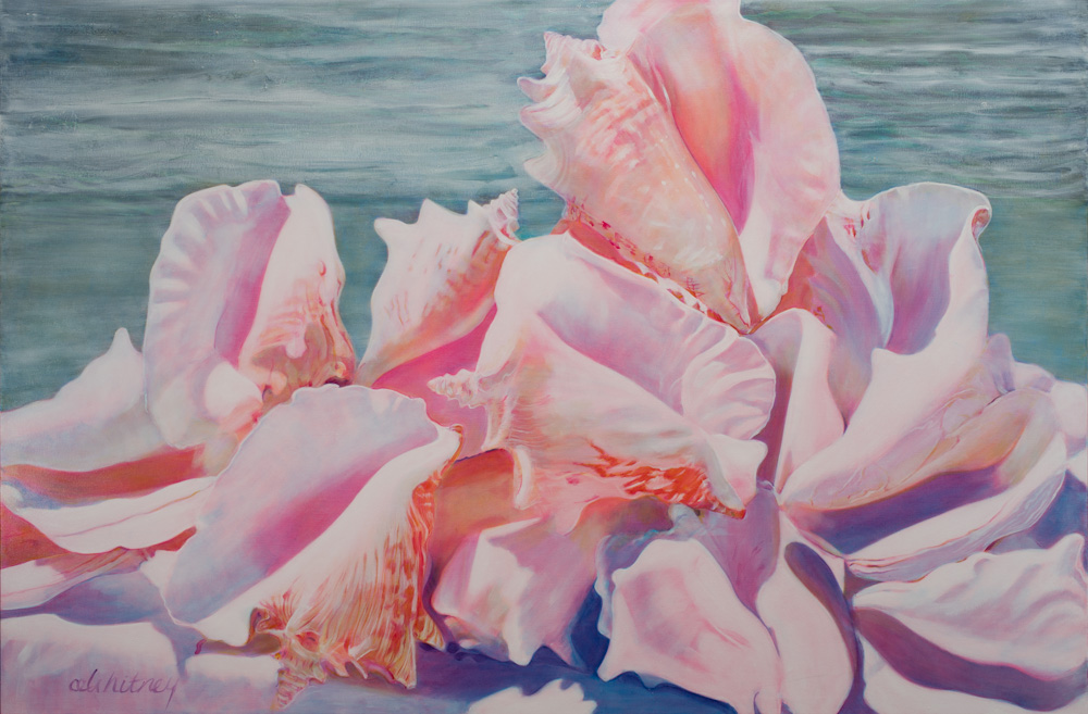 Beached Conch