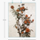 Thumbnail: Orange Roses Limited Edition Wall Art - by Paolo Palazzoli
