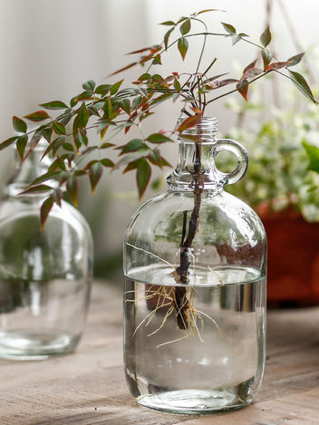 Glass Jar with Handle