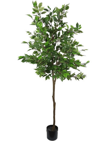 Tropical Artificial Tree