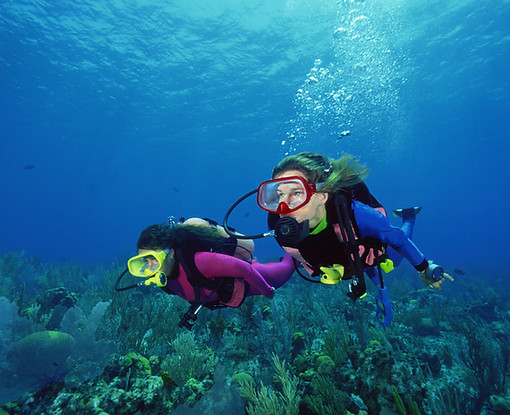 Scuba Divers