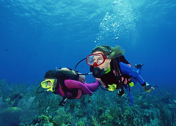 Scuba Divers