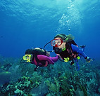 Scuba Divers