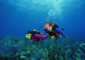 Scuba Divers