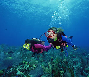 Scuba Divers