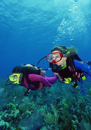 Scuba Divers