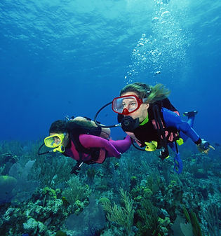 Scuba Divers