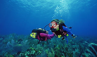 Scuba Divers