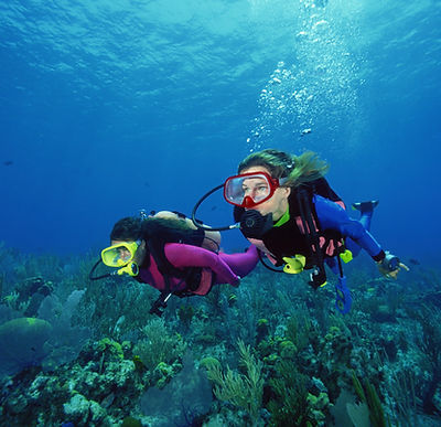 Scuba Divers