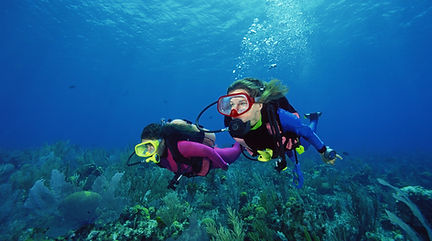 Scuba Divers