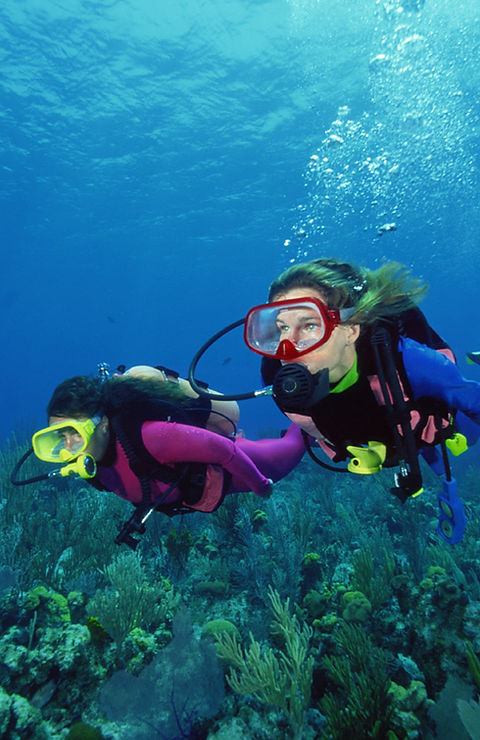 Scuba Divers