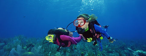 Scuba Divers