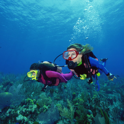 Dive your way around the world