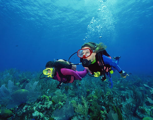 Scuba Divers