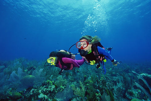 Scuba Divers