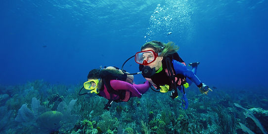 Scuba Divers