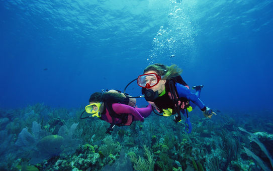 cruise planners Florida