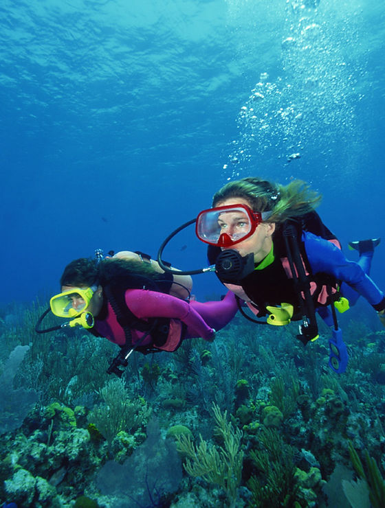 Scuba Divers