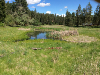 Pocket Wilderness Areas and our Investment in Preservation