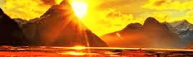 images-Jaya.jpg