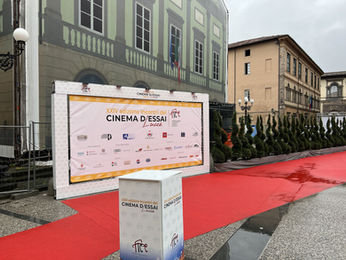 Report Incontri del Cinema d'Essai - Lucca, 2024