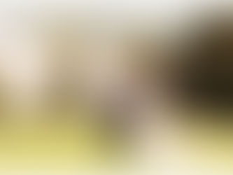 DIANE & RICK'S LAKESIDE SUMMER WEDDING AT THE CRAGWOOD COUNTRY HOUSE | WINDERMERE