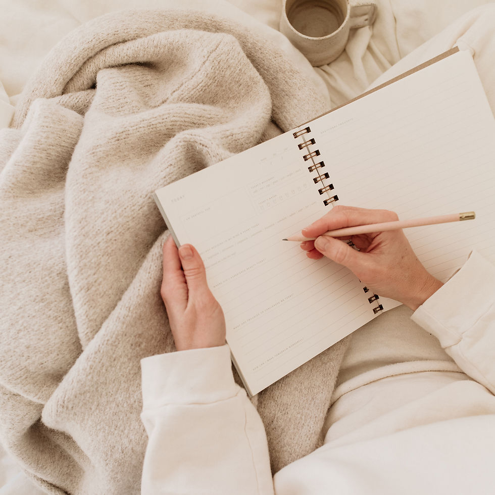 Thumbnail: Daily Pause Journal - Blackberry