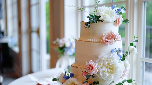 LDS Temple wedding of Isabella and Jakob wedding in Charleston, North Carolina - cake