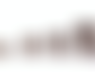 Accounting Basics: The Profit and Loss and Balance Sheet Reports