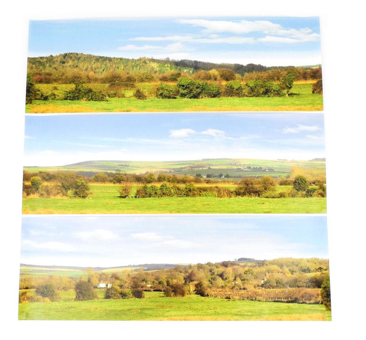 VALLEY LARGE PHOTO BACKSCENE (2744X304MM)
