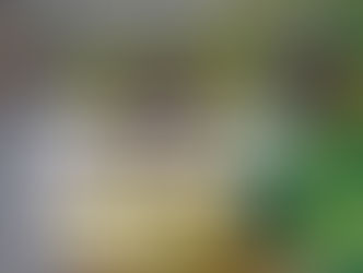 Alerta de oportunidad para iniciativas de impacto social en América Latina y el Caribe.