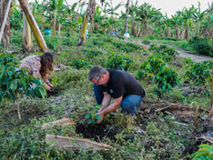 Con $18,2 billones en saldo de cartera, Bancolombia acompaña el crecimiento del agro colombiano