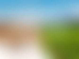 Baruk Company: Un Paradigma de Sostenibilidad e Innovación, presentes en el marco de la climate week New York