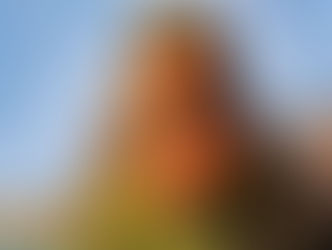 La tierra, la Pachamama.