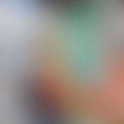 Fundación Vínculos de Raíces y Sueños: Un Año de Impacto y Solidaridad en 2025