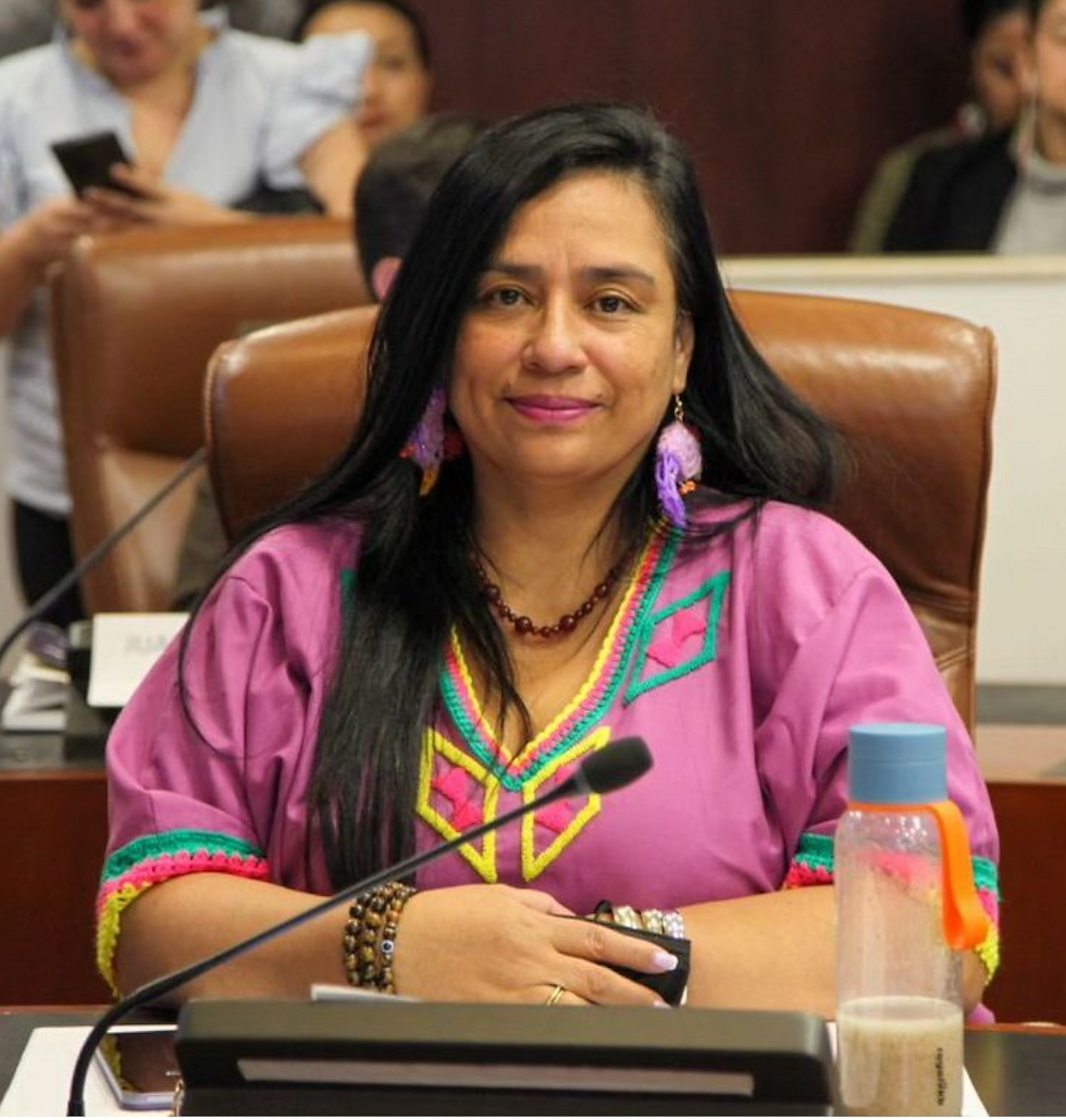 Carmen Felisa Ramírez Boscán, Camara de Representantes