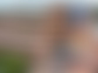 Avanza ligeramente el proceso contencioso que otorgaría la salida del Registrador Nacional del Estado Civil, Dr. Hernán Penagos.