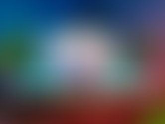 De Cali a Roma, la COP16 entra en la recta final; lo que viene para Colombia