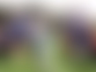 Inicia en Nariño proyecto para actualizar la política de atención y prevención de minas antipersonal en Colombia