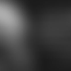 Cómo reconocer la estupidez