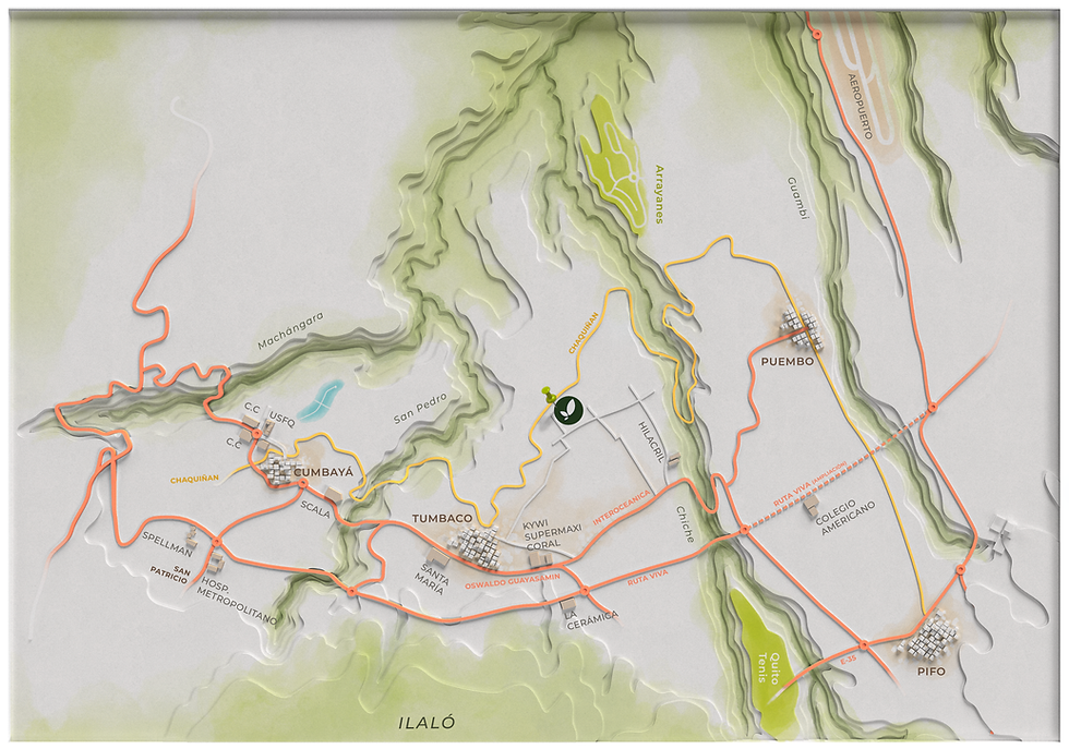 MAPA web.png