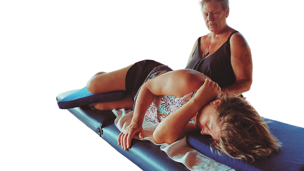 Level 1 Holistic Pulsing ONLINE