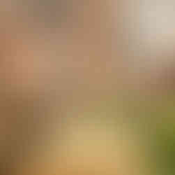 ζυμώνοντας